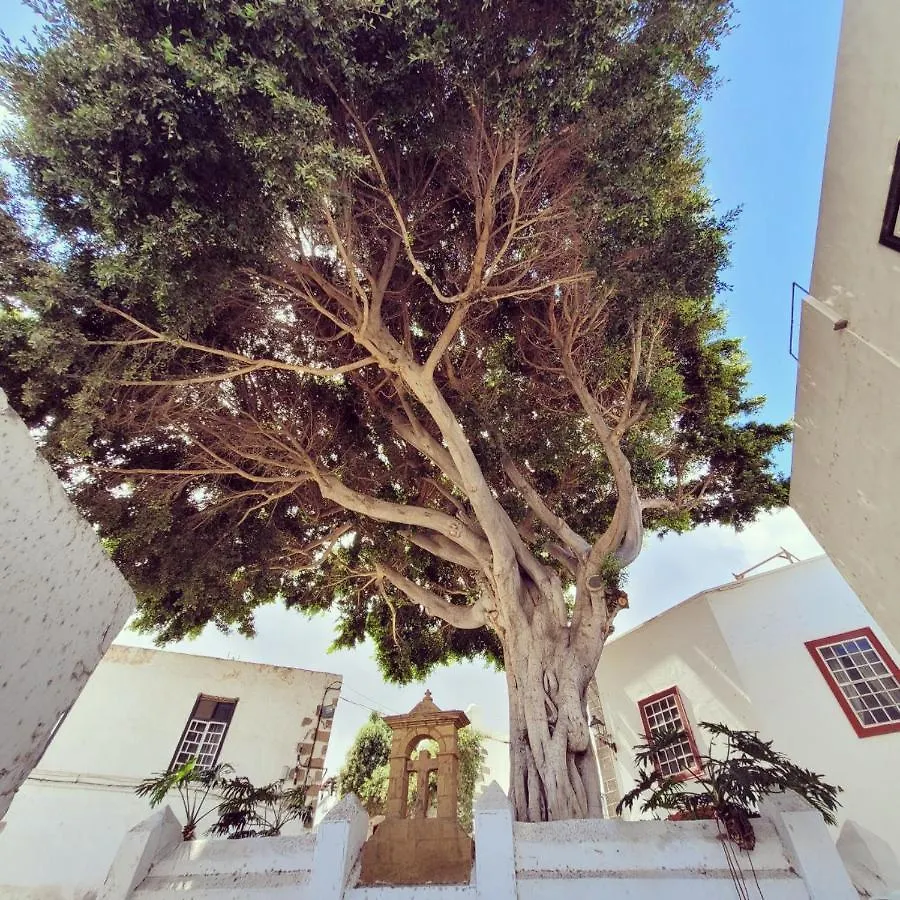 Vv Condevega Hotel Telde 0*,  Spain